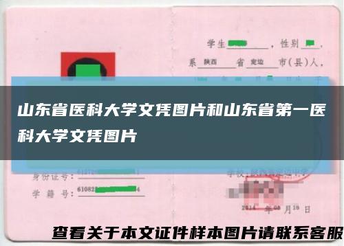 山东省医科大学文凭图片和山东省第一医科大学文凭图片缩略图
