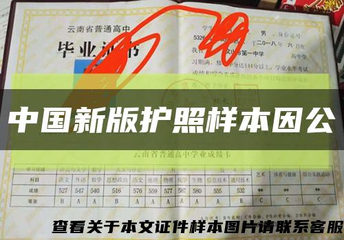 中国新版护照样本因公缩略图