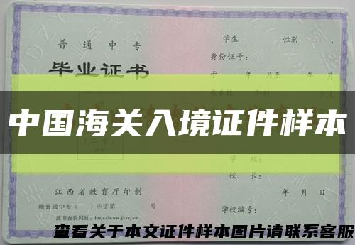 中国海关入境证件样本缩略图