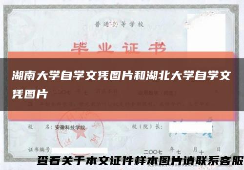 湖南大学自学文凭图片和湖北大学自学文凭图片缩略图