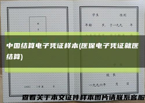 中国结算电子凭证样本(医保电子凭证就医结算)缩略图