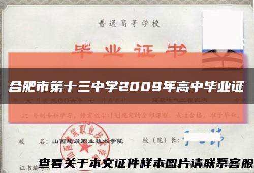 合肥市第十三中学2009年高中毕业证缩略图