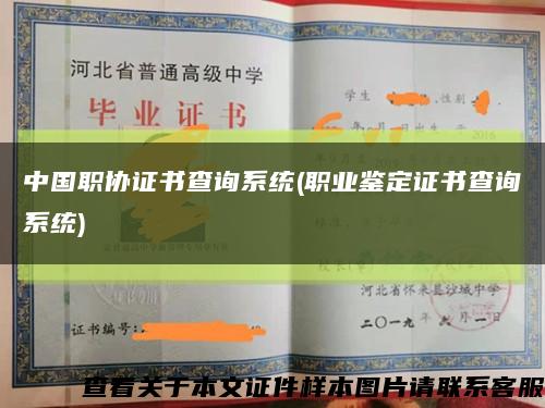 中国职协证书查询系统(职业鉴定证书查询系统)缩略图