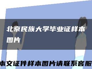 北京民族大学毕业证样本图片缩略图