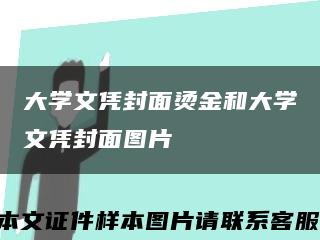 大学文凭封面烫金和大学文凭封面图片缩略图