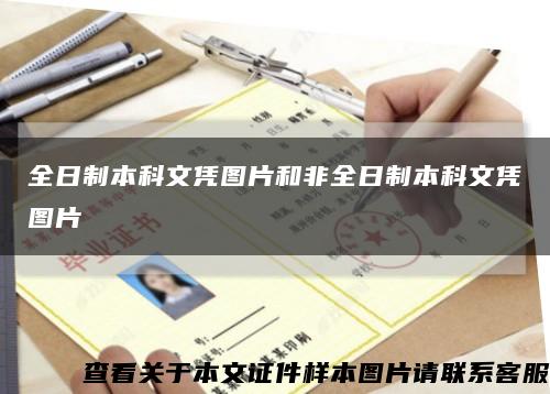 全日制本科文凭图片和非全日制本科文凭图片缩略图