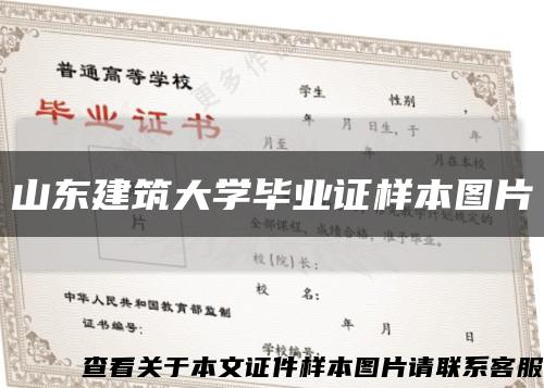山东建筑大学毕业证样本图片缩略图