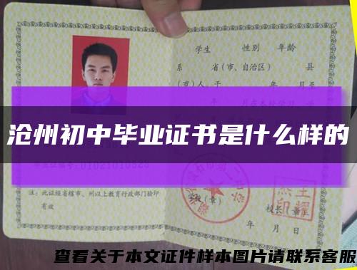 沧州初中毕业证书是什么样的缩略图