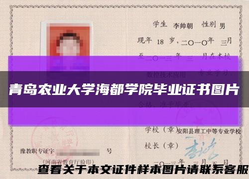 青岛农业大学海都学院毕业证书图片缩略图