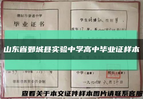 山东省鄄城县实验中学高中毕业证样本缩略图