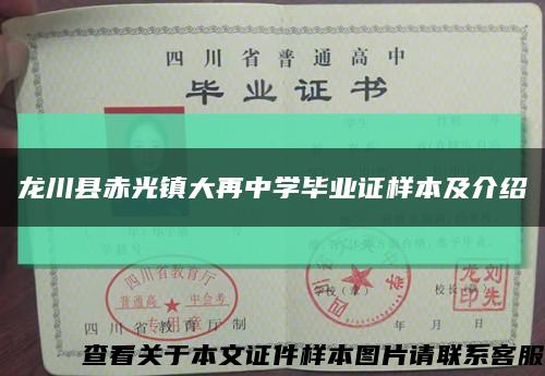 龙川县赤光镇大再中学毕业证样本及介绍缩略图