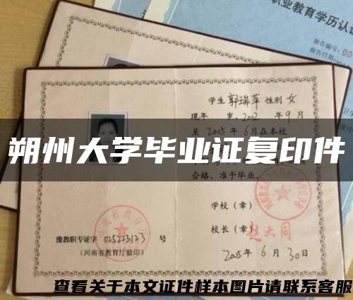 朔州大学毕业证复印件缩略图