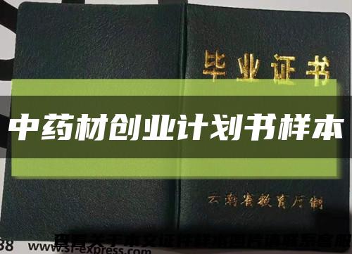 中药材创业计划书样本缩略图