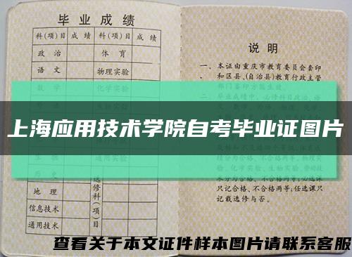 上海应用技术学院自考毕业证图片缩略图