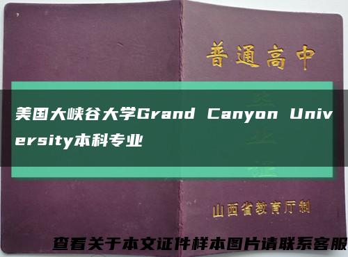 美国大峡谷大学Grand Canyon University本科专业缩略图