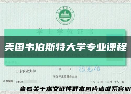 美国韦伯斯特大学专业课程缩略图