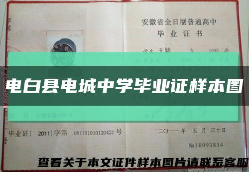 电白县电城中学毕业证样本图缩略图