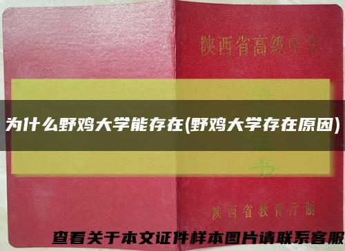 为什么野鸡大学能存在(野鸡大学存在原因)缩略图