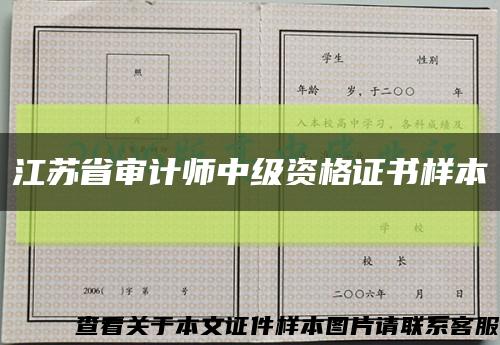 江苏省审计师中级资格证书样本缩略图