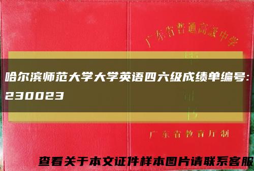 哈尔滨师范大学大学英语四六级成绩单编号:230023缩略图