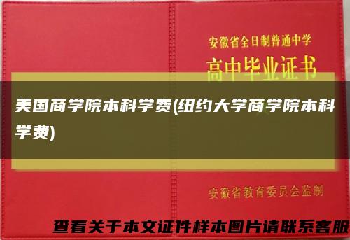 美国商学院本科学费(纽约大学商学院本科学费)缩略图
