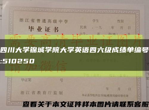 四川大学锦城学院大学英语四六级成绩单编号:510250缩略图