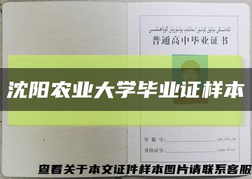 沈阳农业大学毕业证样本缩略图