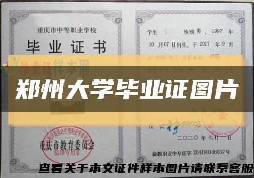 郑州大学毕业证图片缩略图
