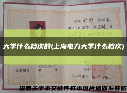 大学什么档次的(上海电力大学什么档次)缩略图