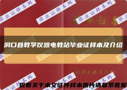 洞口县教学仪器电教站毕业证样本及介绍缩略图
