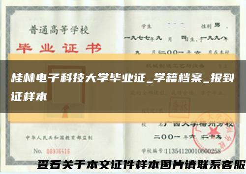 桂林电子科技大学毕业证_学籍档案_报到证样本缩略图