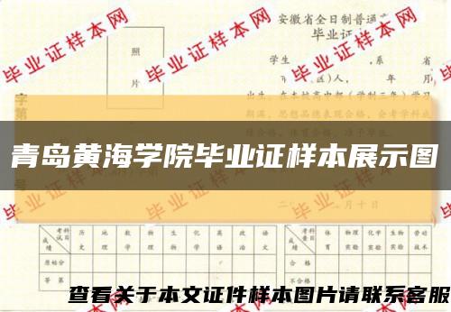 青岛黄海学院毕业证样本展示图缩略图