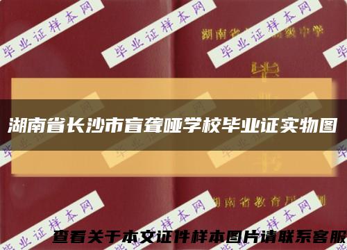 湖南省长沙市盲聋哑学校毕业证实物图缩略图