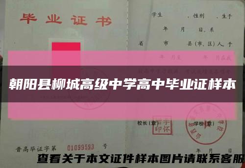 朝阳县柳城高级中学高中毕业证样本缩略图