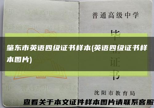 肇东市英语四级证书样本(英语四级证书样本图片)缩略图