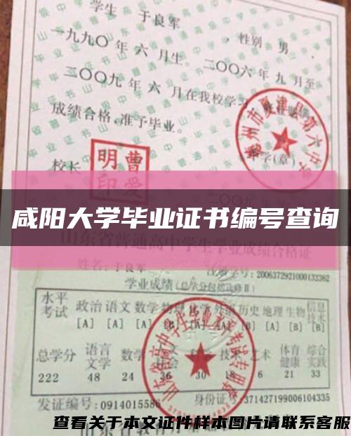 咸阳大学毕业证书编号查询缩略图