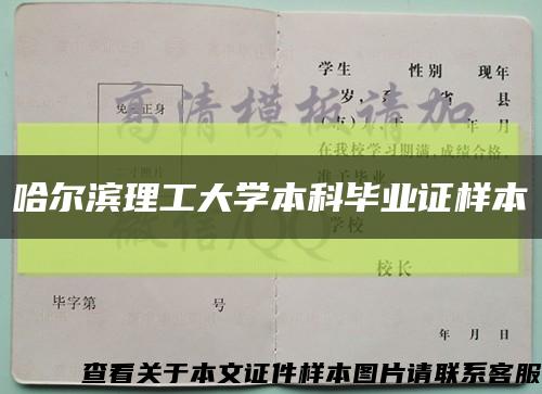 哈尔滨理工大学本科毕业证样本缩略图
