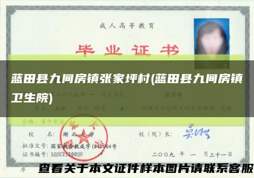 蓝田县九间房镇张家坪村(蓝田县九间房镇卫生院)缩略图