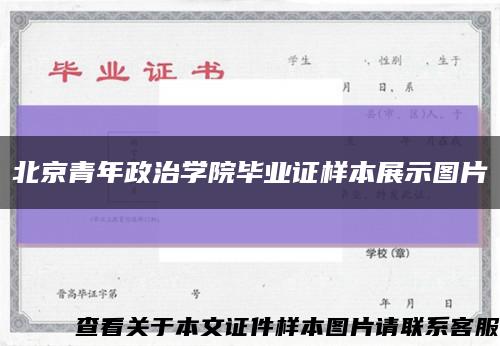 北京青年政治学院毕业证样本展示图片缩略图