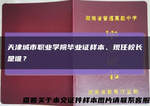 天津城市职业学院毕业证样本、现任校长是谁？缩略图