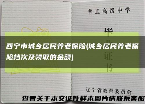 西宁市城乡居民养老保险(城乡居民养老保险档次及领取的金额)缩略图