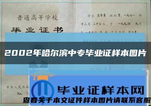 2002年哈尔滨中专毕业证样本图片缩略图