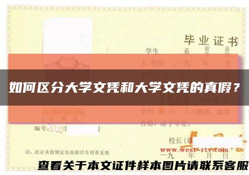 如何区分大学文凭和大学文凭的真假？缩略图