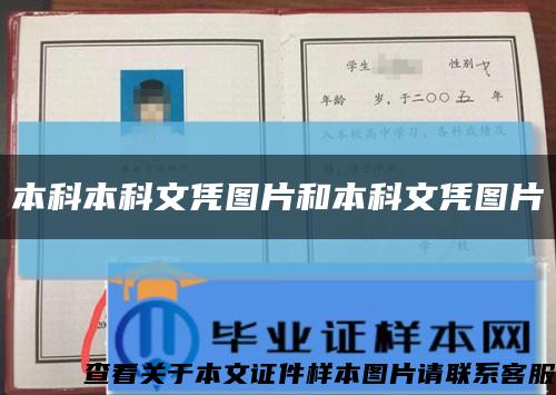 本科本科文凭图片和本科文凭图片缩略图