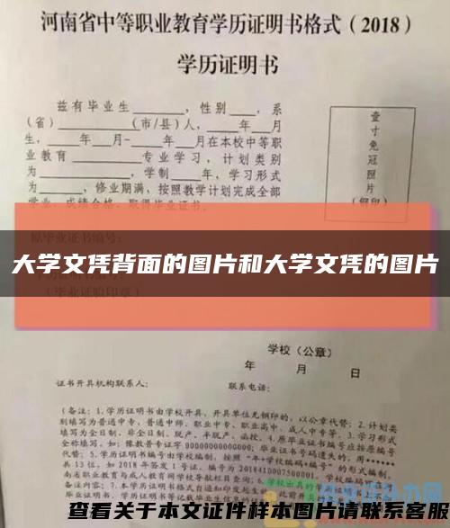 大学文凭背面的图片和大学文凭的图片缩略图