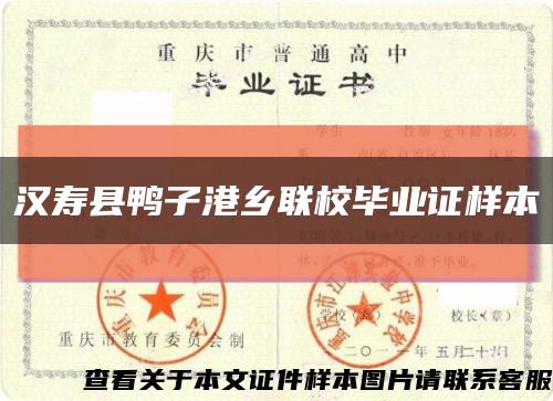 汉寿县鸭子港乡联校毕业证样本缩略图