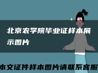 北京农学院毕业证样本展示图片缩略图