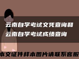 云南自学考试文凭查询和云南自学考试成绩查询缩略图
