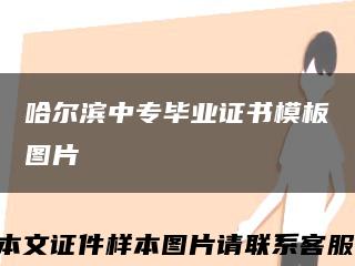 哈尔滨中专毕业证书模板图片缩略图
