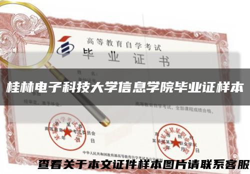 桂林电子科技大学信息学院毕业证样本缩略图